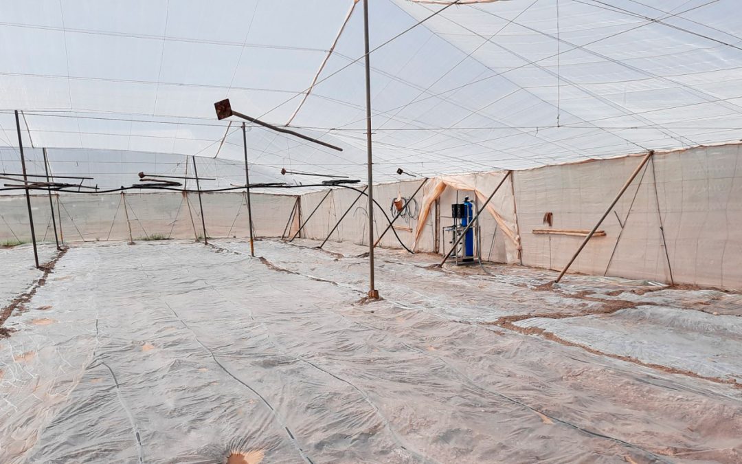 Experiment in greenhouse with AgRemSO3il small prototype