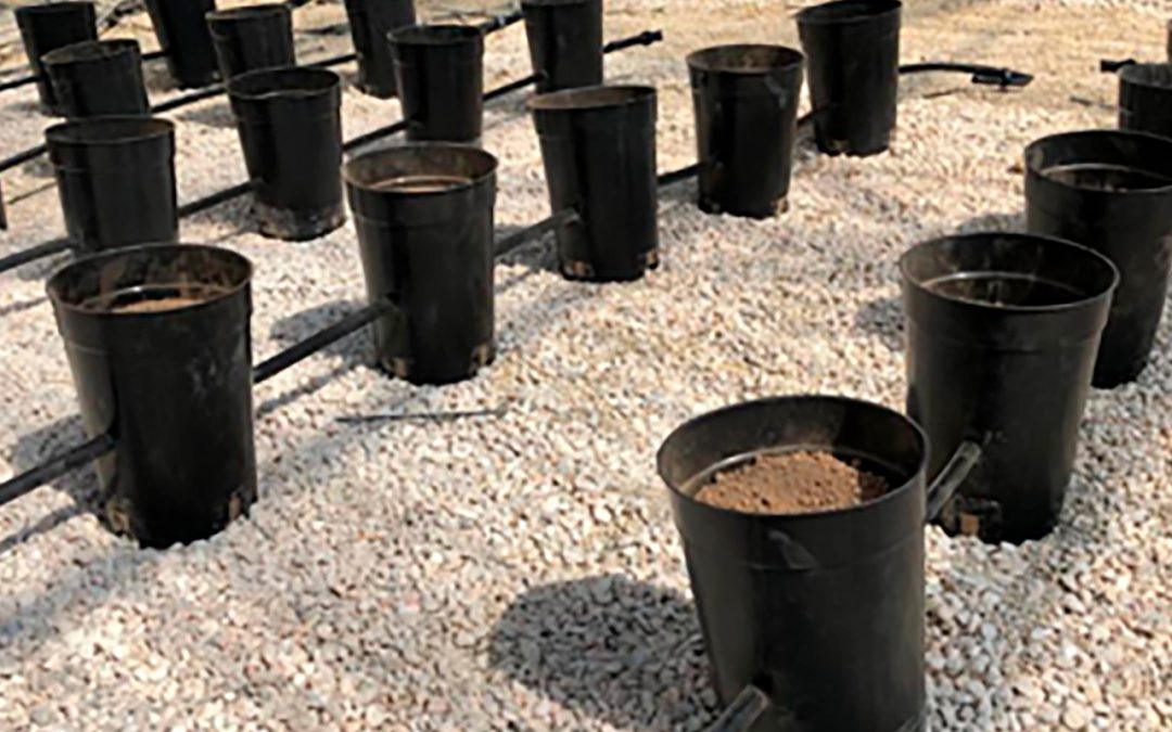 First results of LIFE-AgRemSO3il experiments with small prototype