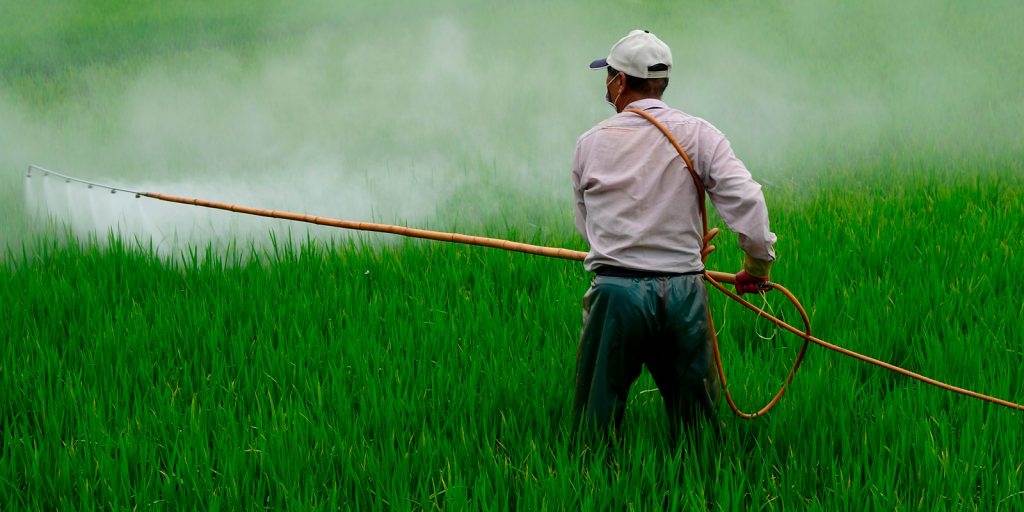 IDConsortium News Agremso3il project mitigates soil water pollution bg 02