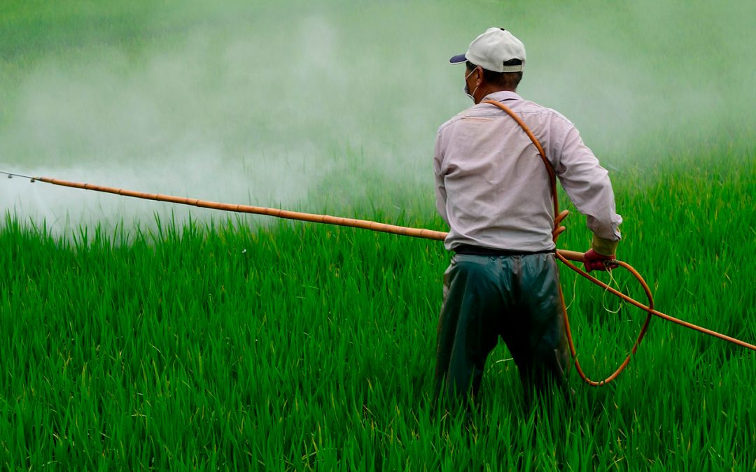 How AGREMSO3IL project mitigates soil and water pollution
