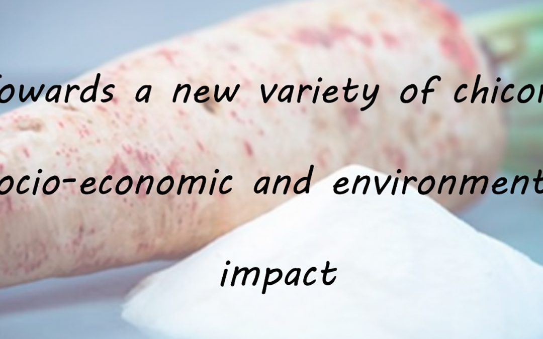 Socio-economic and environmental impacts on the whole value chain update