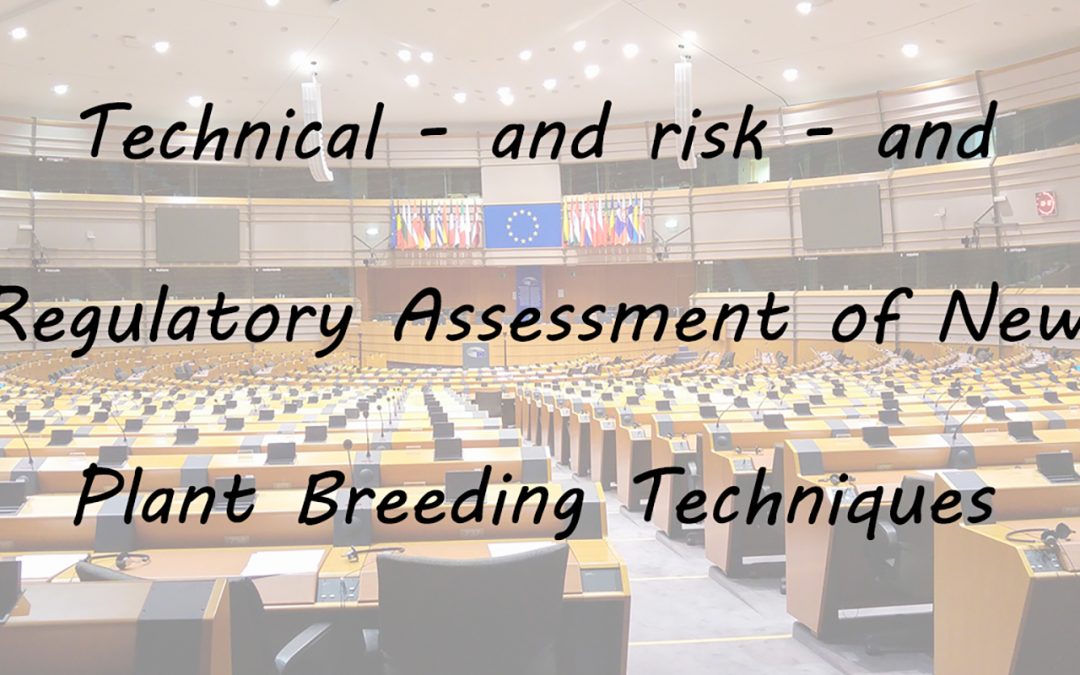 Technical and risk and regulatory assessment of NPBTs update