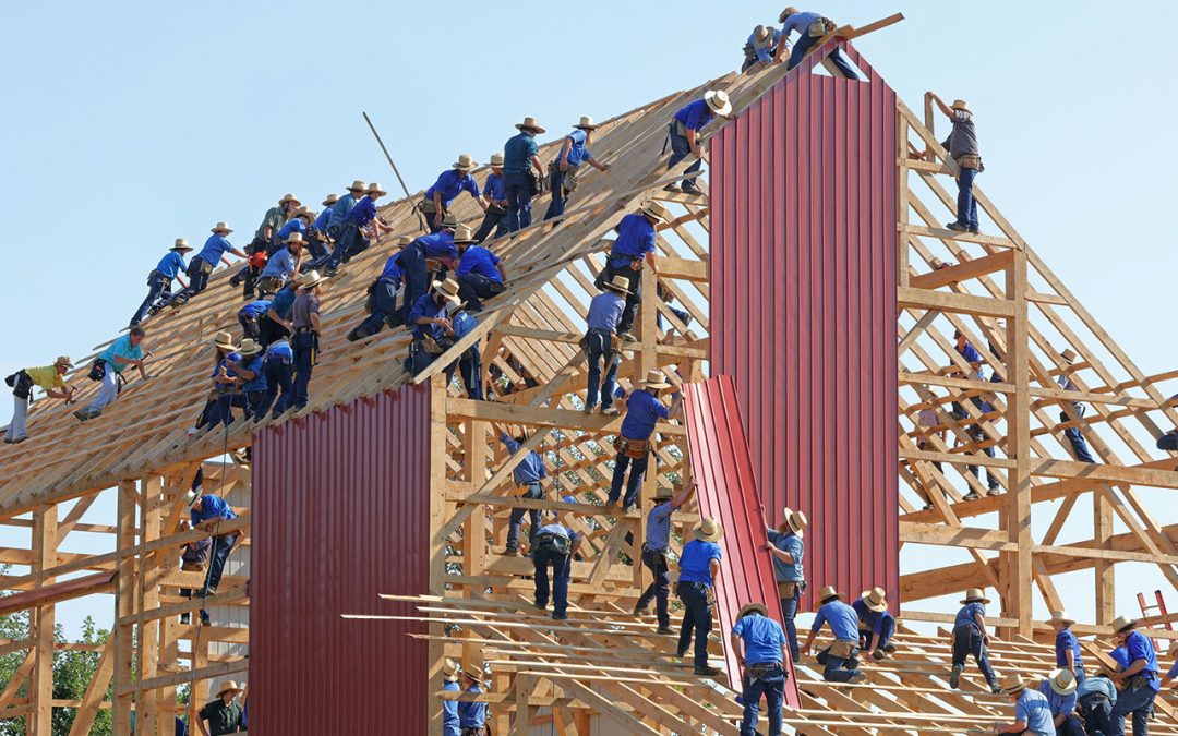 Capacity-building and transnational cooperation for national contact points