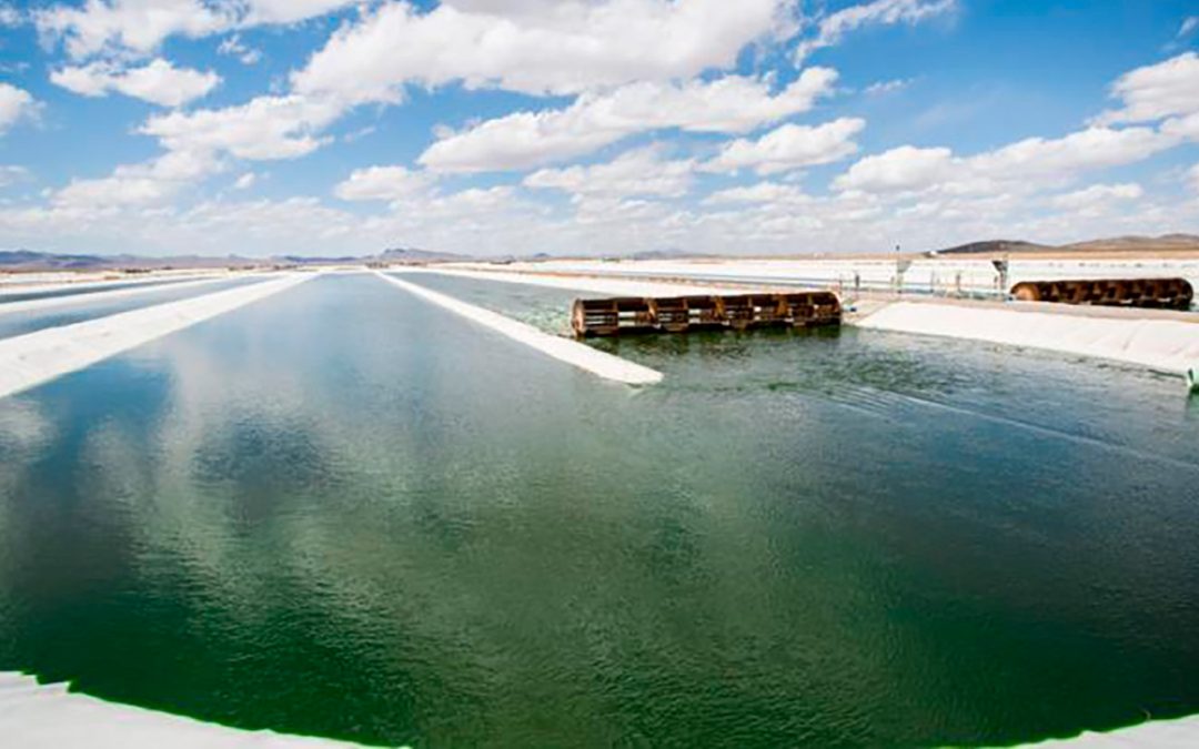 PRODIGIO, the EU project aimed at boosting microalgae biogas production, starts