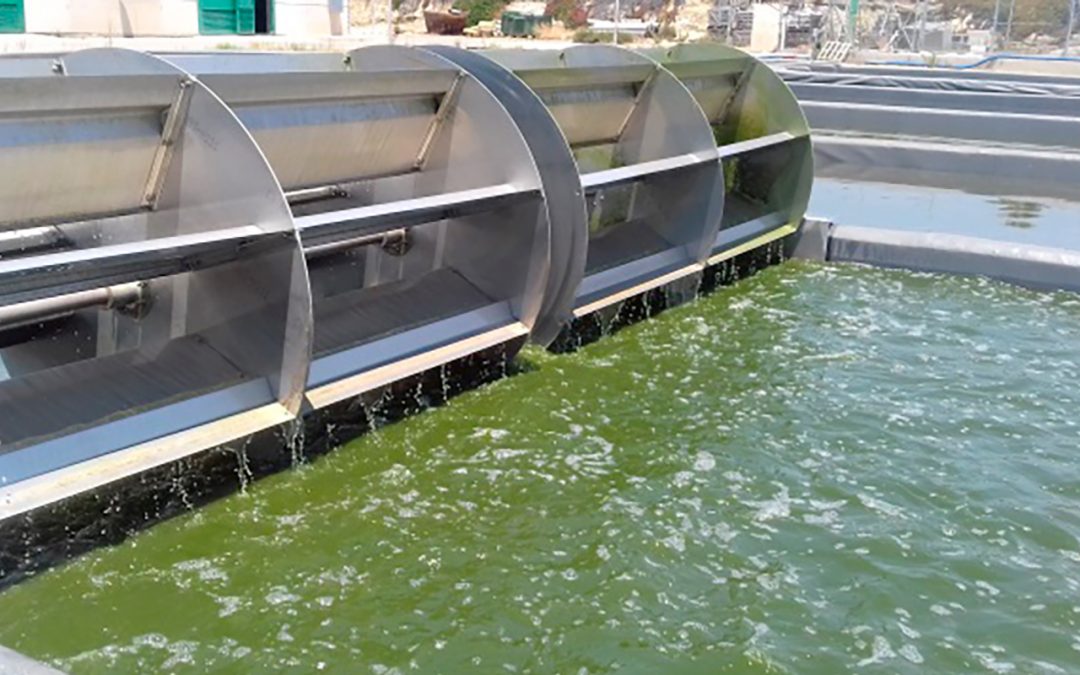 La UAL participa en el proyecto PRODIGIO de mejora de la producción industrial de microalgas