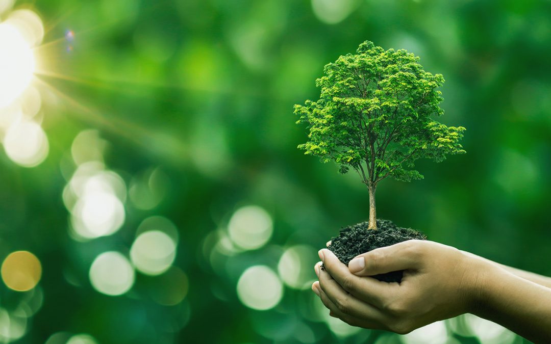 Read how PRODIGIO project is ready to contribute to net-zero emission target by 2050