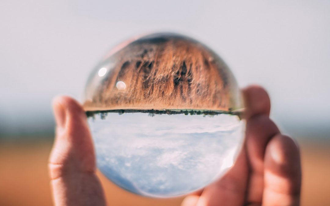 Circular bioeconomy and how this will benefit the RUSTICA project