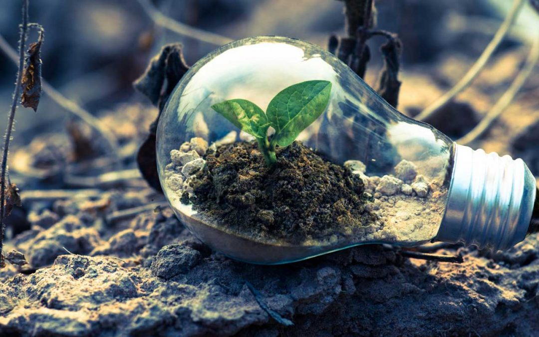 30 years of bringing green ideas to LIFE