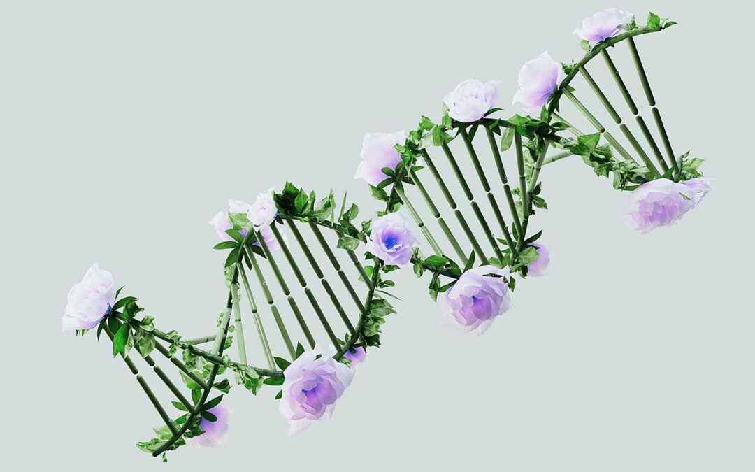 Urgent scientific advances for Spanish agriculture: Genetic editing proposal under debate in the EU