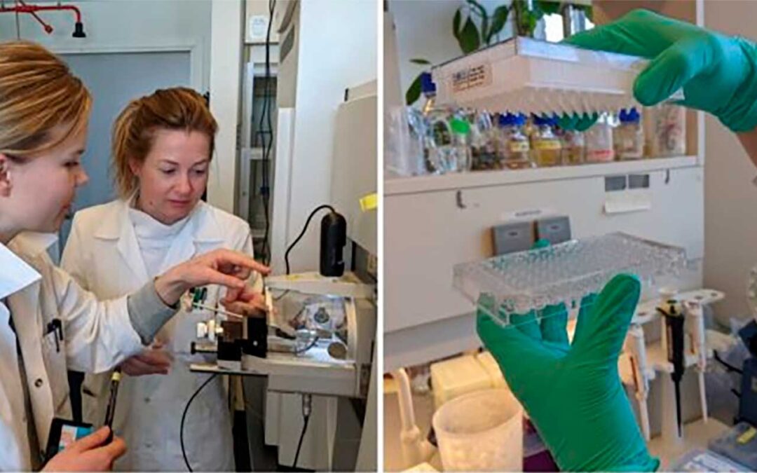 The algae-eating microbiome that lives inside an anaerobic reactor