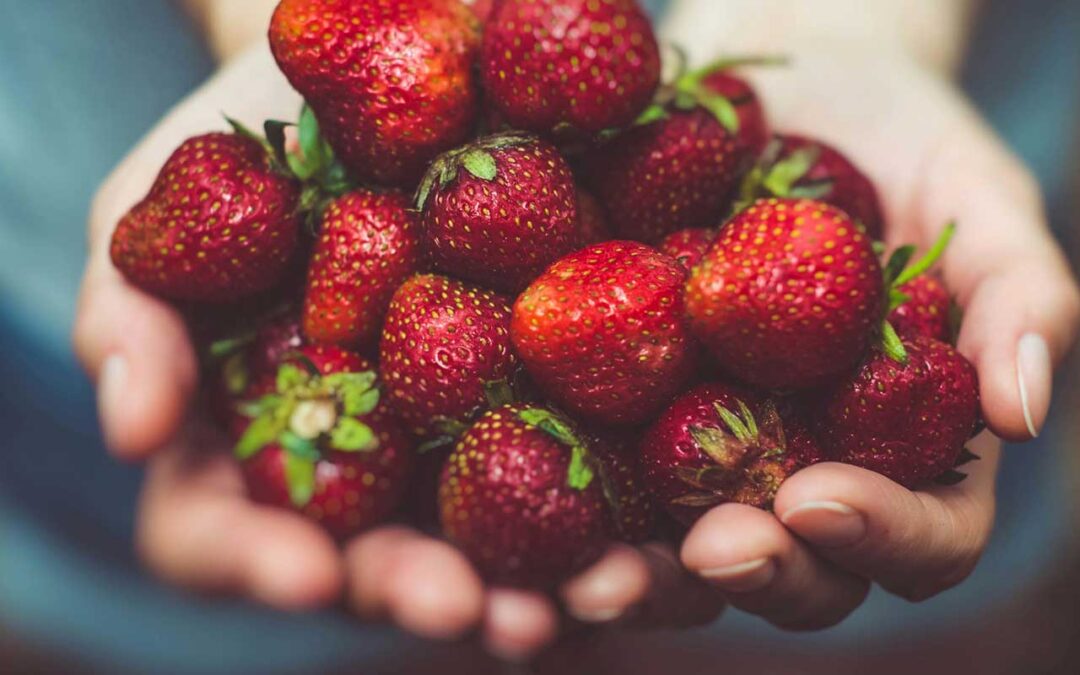 Collaboration Agreement between IDConsortium and EIT Food