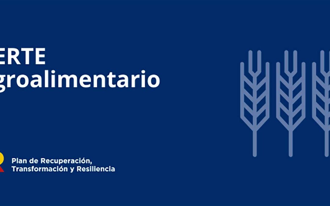 El Ministerio de Industria lanza la segunda edición del PERTE Agroalimentario con 100 millones de euros en subvenciones