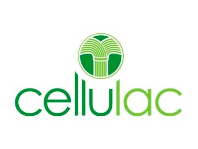 IDConsortium Client Partner Europe Ireland Cellulac