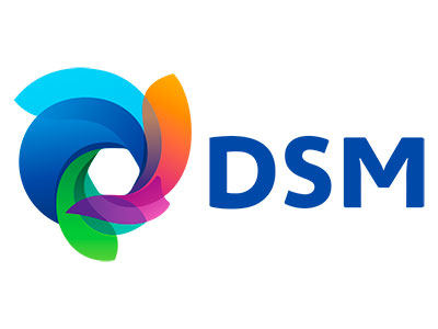 IDConsortium Client Partner Europe Netherlands DSM