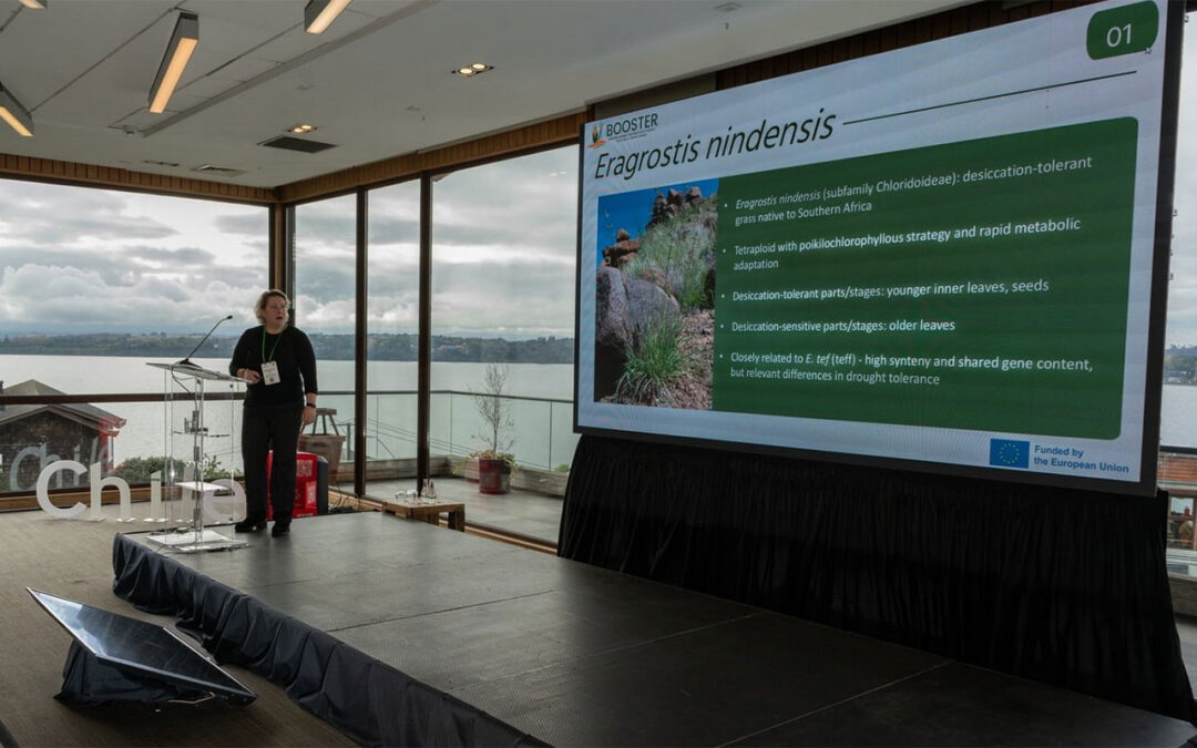 CREA advances BOOSTER’s drought-resilience breakthroughs with new genomic insights, global outreach, and stakeholder engagement