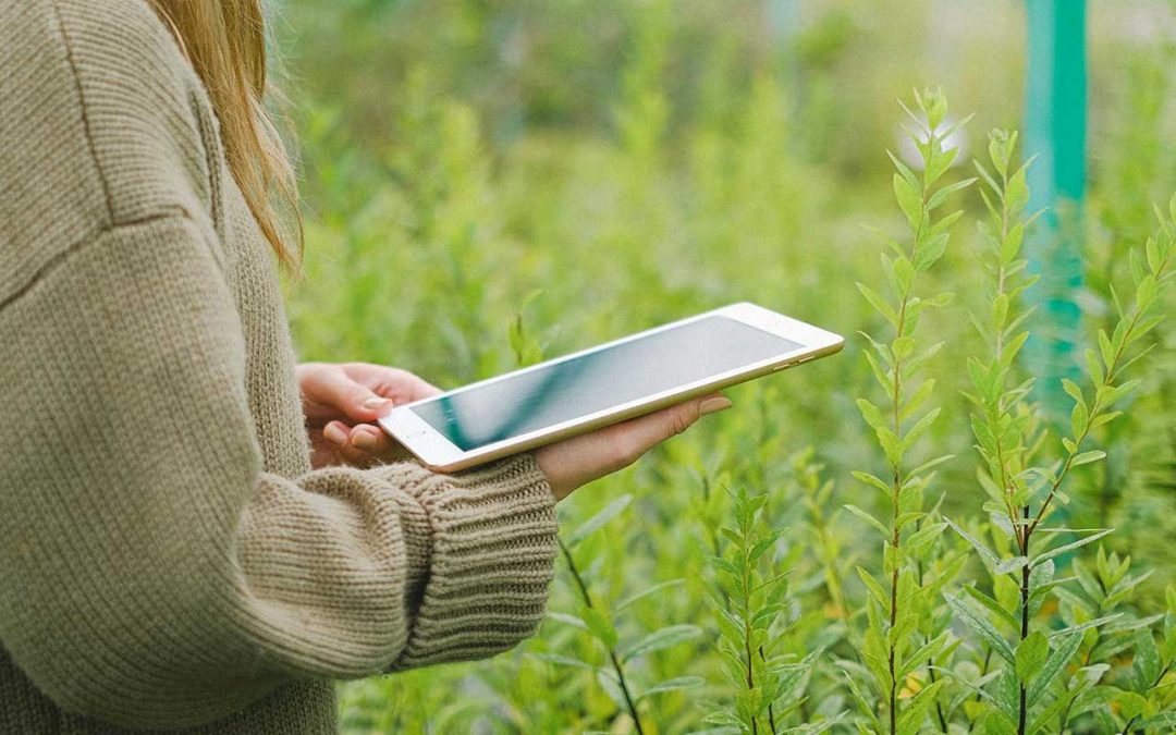 IDCONSORTIUM supports the approval of the European FARM360TECH project