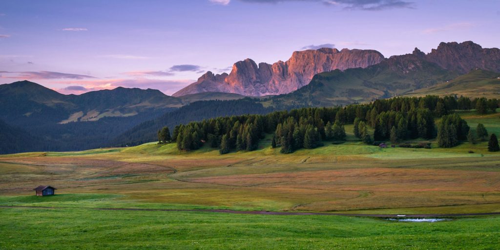 IDConsortium News - SOILBIOMASS+ Project Selected for EU Funding Under Horizon Europe