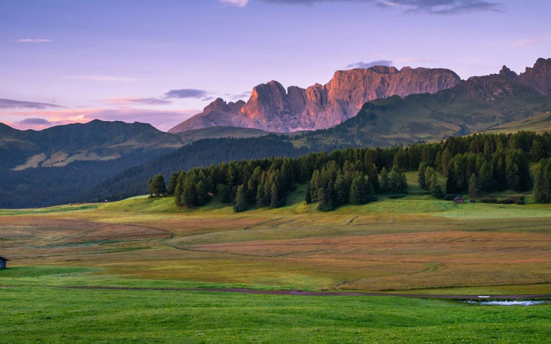 SOILBIOMASS+ Project Selected for EU Funding Under Horizon Europe